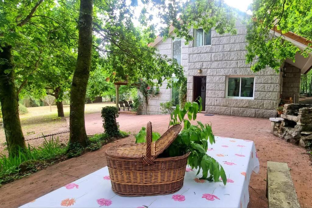 فيلا Casa Matria بوينتيارياس المظهر الخارجي الصورة